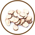 Raiz de angélica